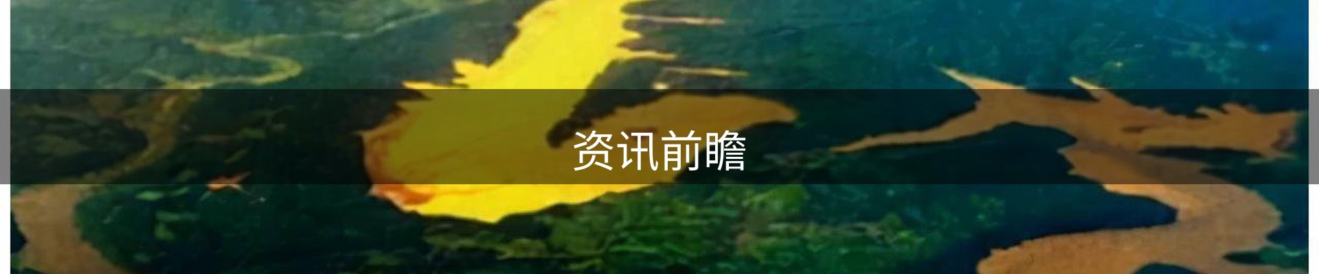 内页banner